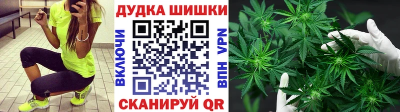 Продажа наркотиков Ельня Альфа ПВП  Меф  COCAIN 